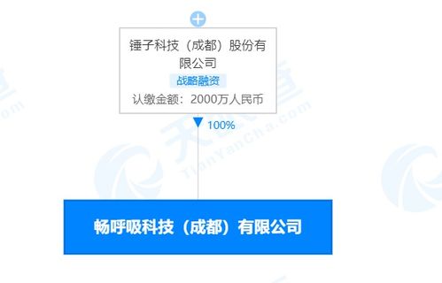 锤子科技关联公司及其法定代表人温洪喜被限制消费 计算机软件技术开发的警示与反思
